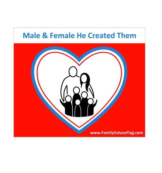 "Male & Female He Created Them" Car Magnet